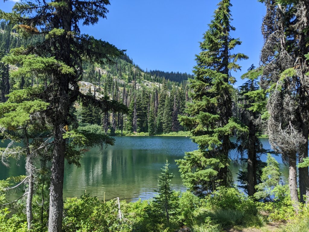 Tunnel Beach swimming area