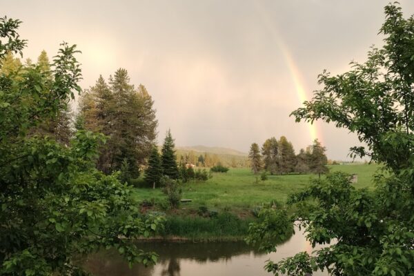 Across the pond